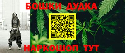 не бодяженный Гай