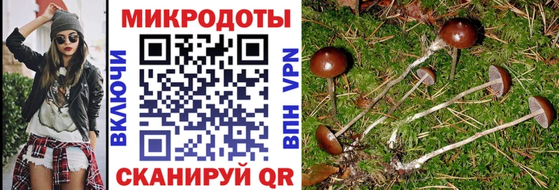 Галлюциногенные грибы мухоморы  магазин продажи наркотиков  Новозыбков 