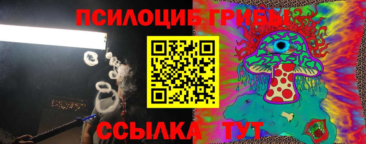 Псилоцибиновые грибы Cubensis Новозыбков
