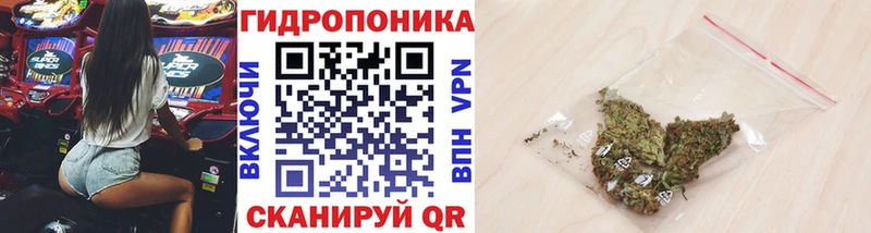 закладка  Новозыбков  МАРИХУАНА Bruce Banner 
