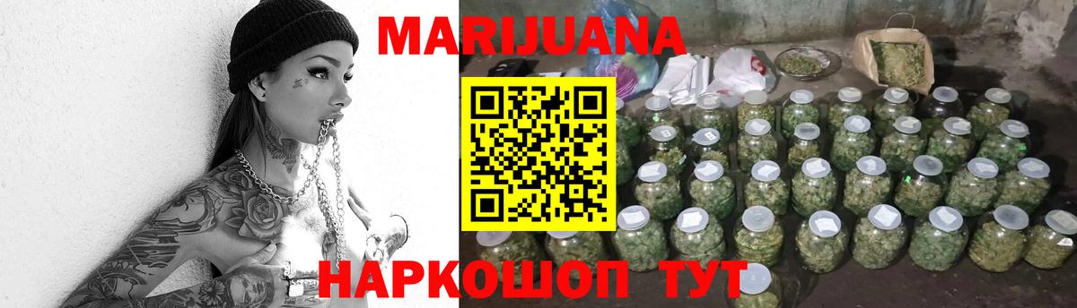 Бошки Шишки марихуана  Новозыбков  Конопля White Widow  Марихуана индика 