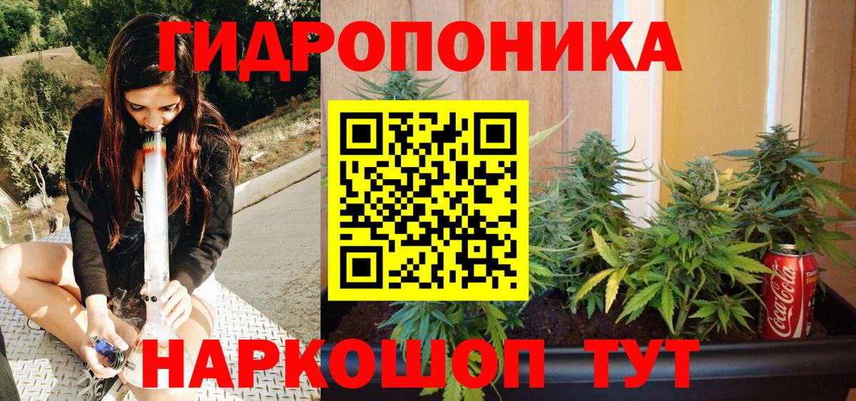 Марихуана SATIVA & INDICA Новозыбков